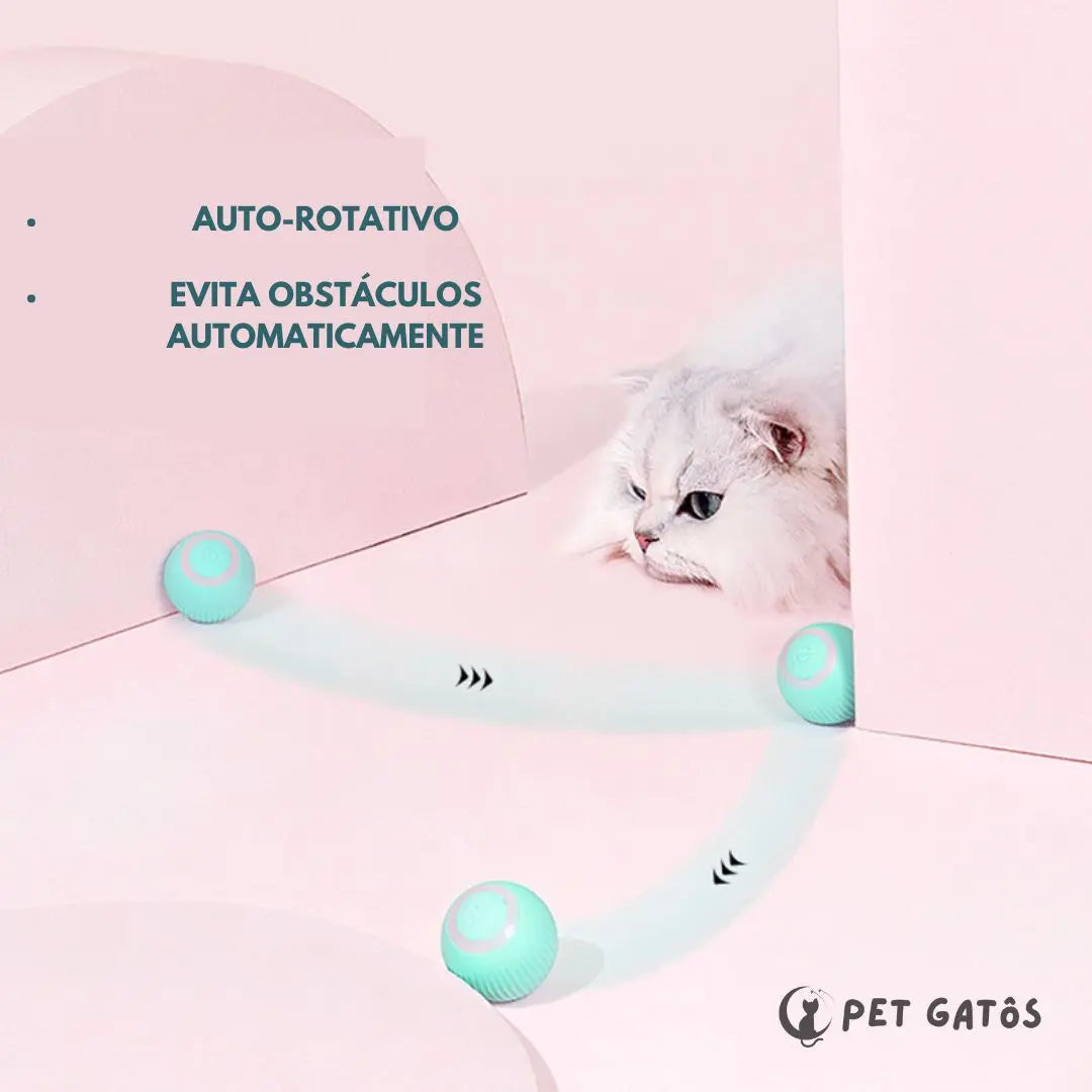 Bolinha Mágica Pet Gatôs